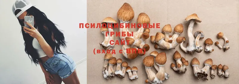 Галлюциногенные грибы Cubensis  Кизел 